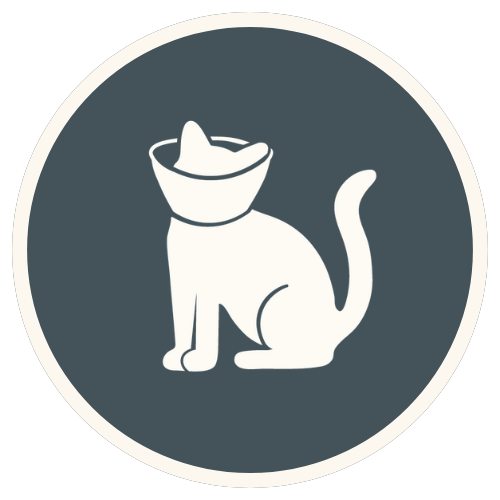 Cat surgery Icon