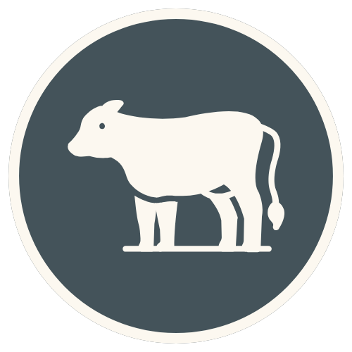 Cow Icon