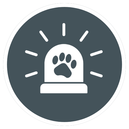 Small Animal Emergencies Grey