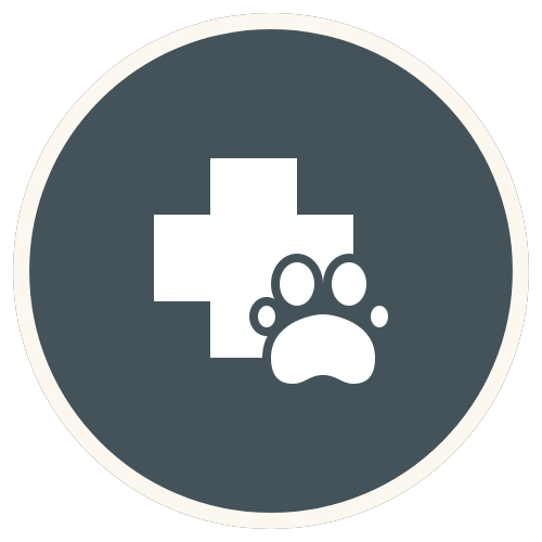 animal care Icon