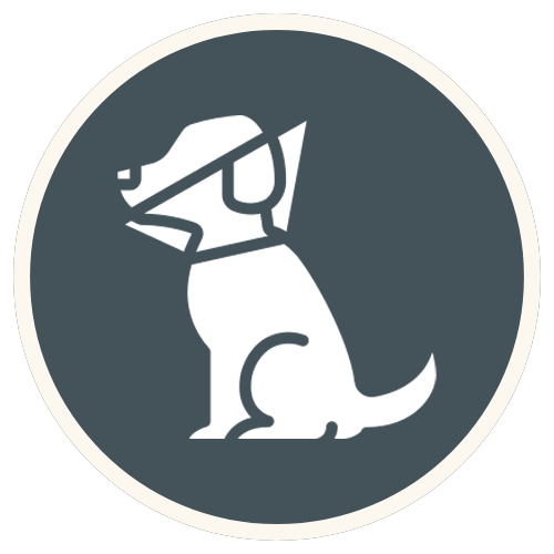 dog injury