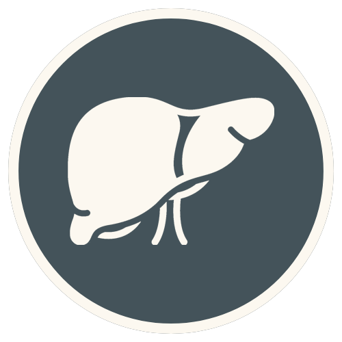 liver