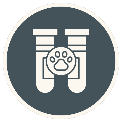 veterinary endocrinology icon