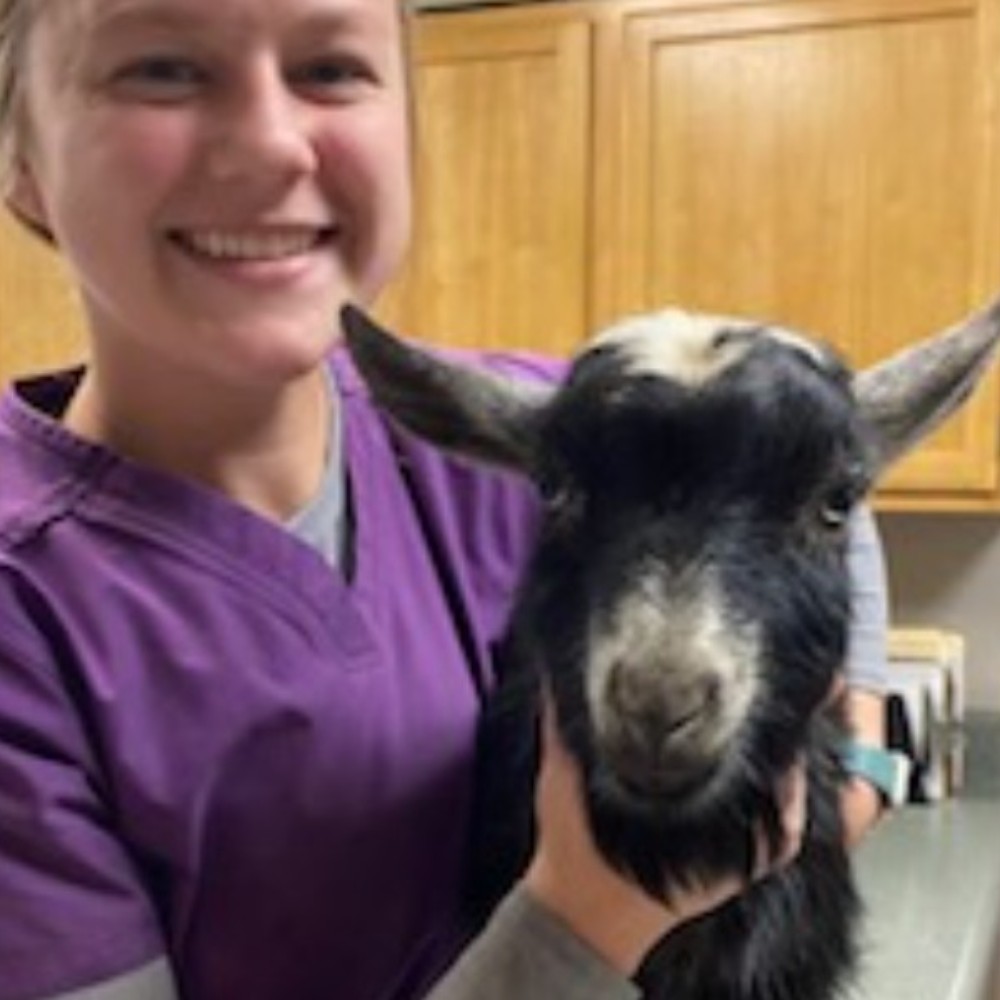 woman holding black goat